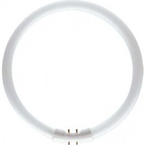 PHILIPS MASTER TL5 Circular 55W/830 1CT