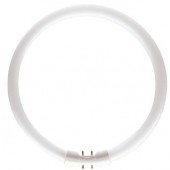 PATRON  TL5 Circular 22W/830 BLANC CHAUD culot 2GX13